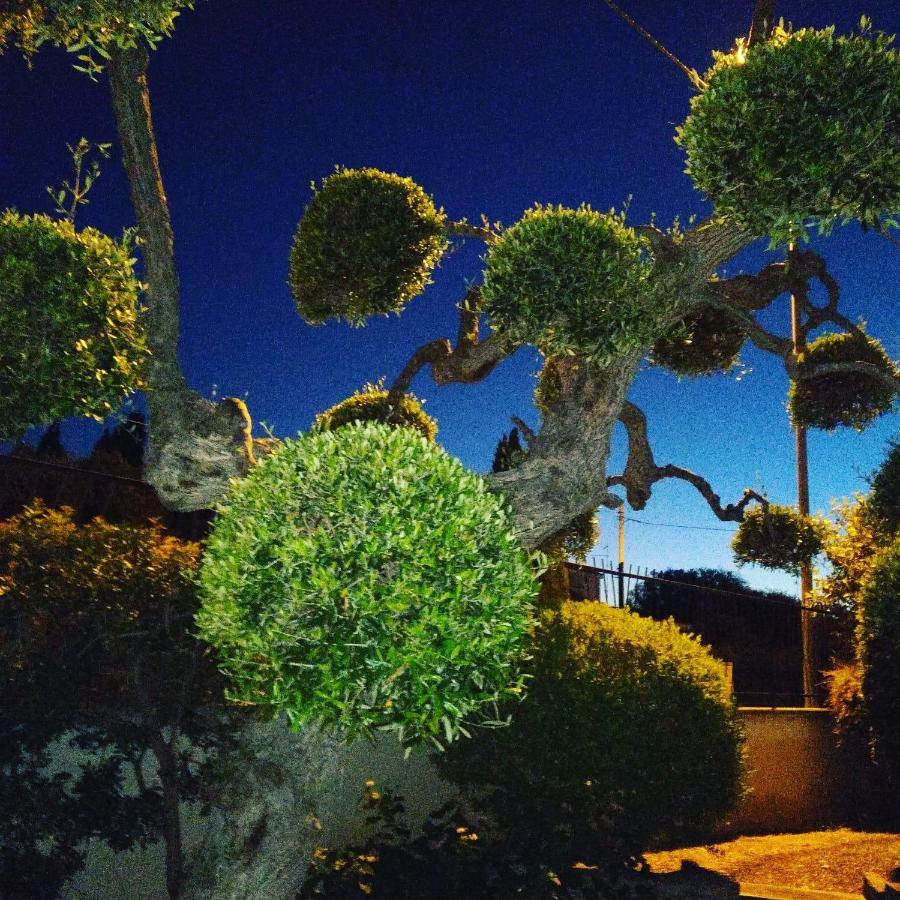 Bnb Villa Lucia Bari Exterior foto