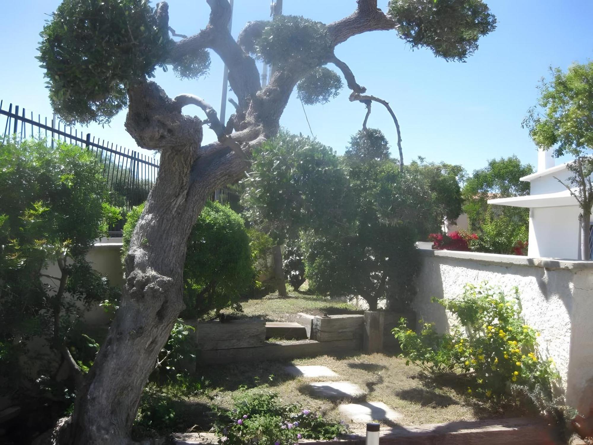 Bnb Villa Lucia Bari Exterior foto